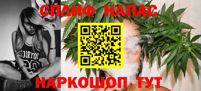 гидра Будённовск