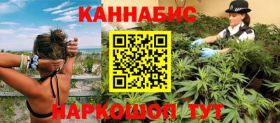 гидра Будённовск