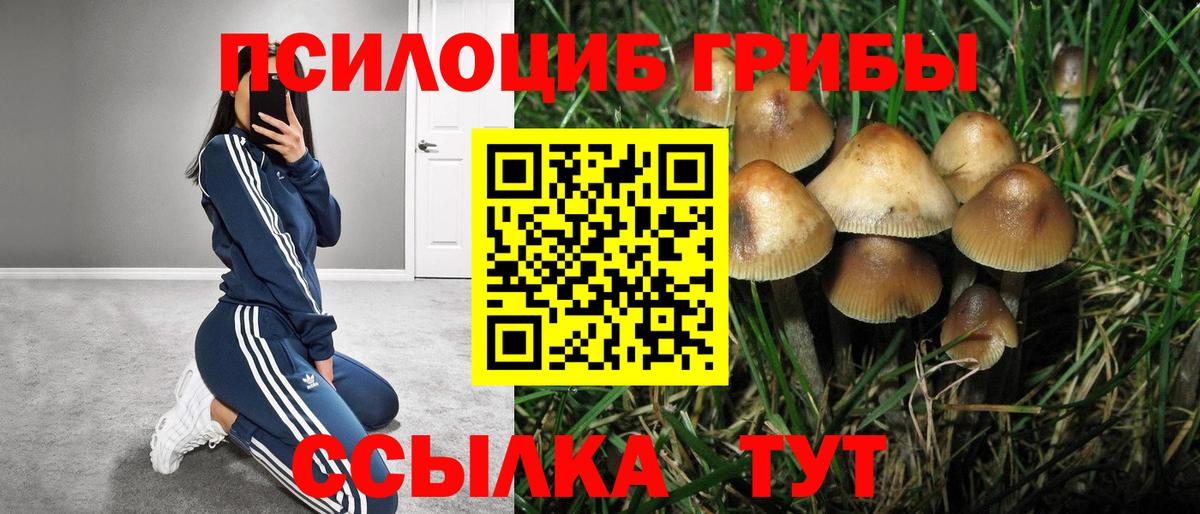 Псилоцибиновые грибы Magic Shrooms  наркота  Салехард  Вход с VPN 